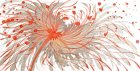 花25_纸本設色_65x33cm_2016_潘柬芝 Blossom25_InkOnPaper_65x33cm_2016_PoonKanChi 拷貝